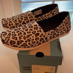 Tom’s Alphargata Leopard Print